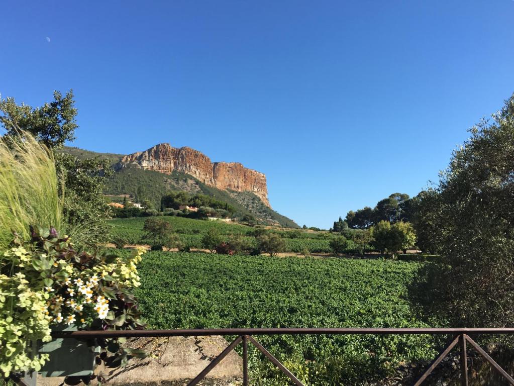 a view of a vineyard with a mountain in the background at appartement cosy à 10 mètres du port de Cassis in Cassis