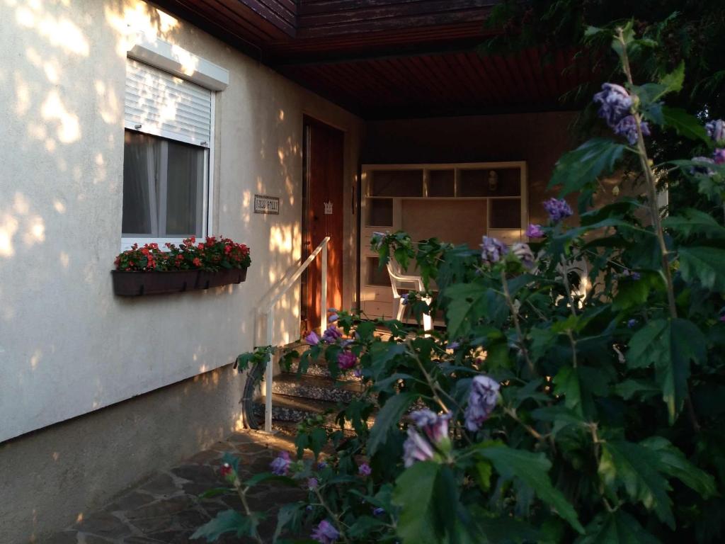 eine Veranda eines Hauses mit Blumen und einem Fenster in der Unterkunft Haus Polly in Strasshof an der Nordbahn