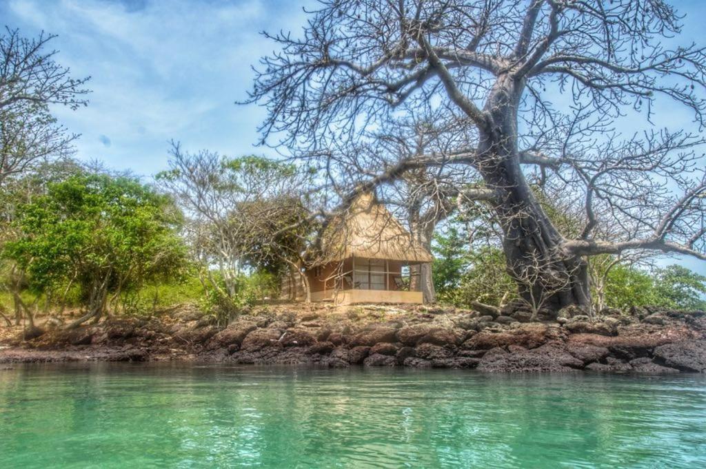 Une petite cabane dans l'eau sur une île dans l'établissement African Ecolodge Angurman, à Bruce