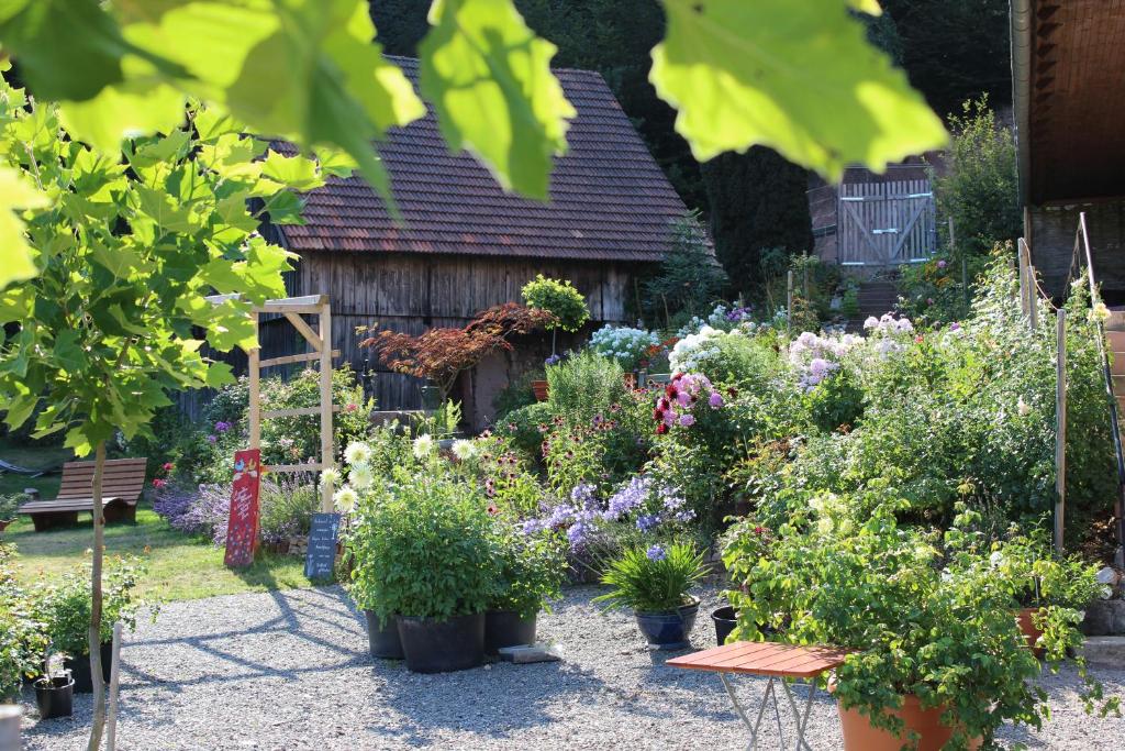 Zahrada ubytování The Moosbach Garden