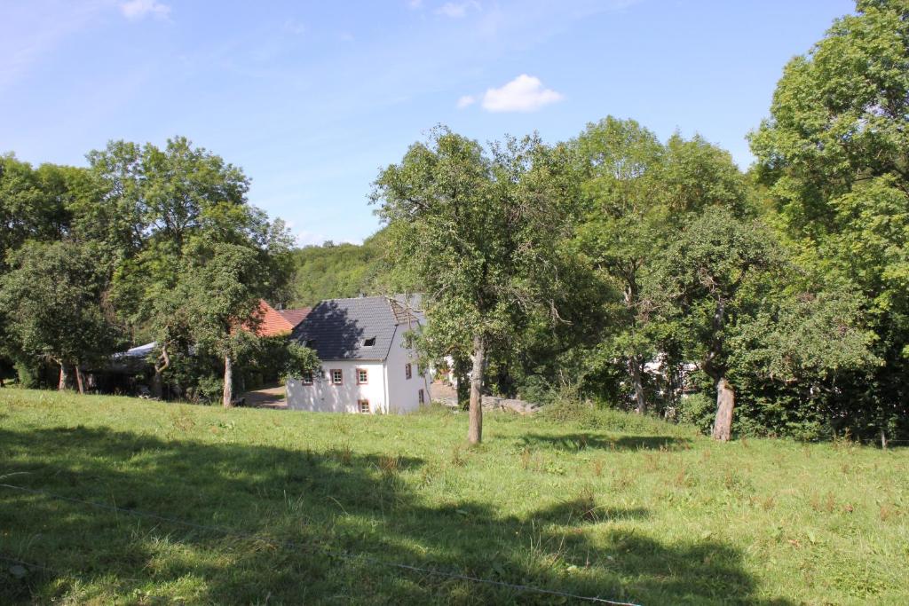 una casa en medio de un campo con árboles en Ferienhaus Sprink Vulkaneifel, en Strohn