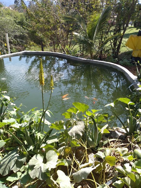  Chalé na Roça Penedo