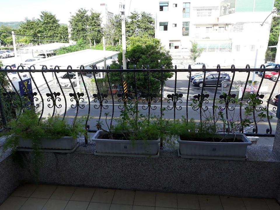 three potted plants sitting on a ledge next to a fence at Star 101 Guest House in Taitung City