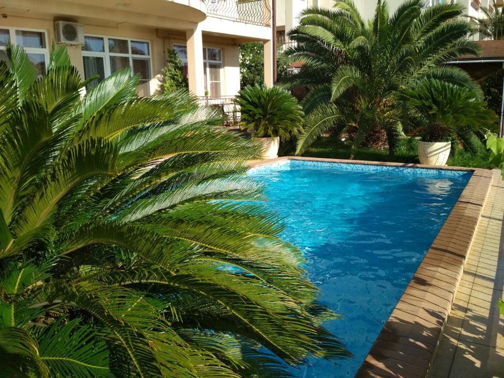 a swimming pool with palm trees in front of a house at Vekar Guest House in Sochi