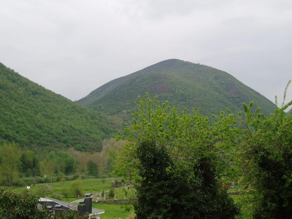 Príroda v okolí of the country house