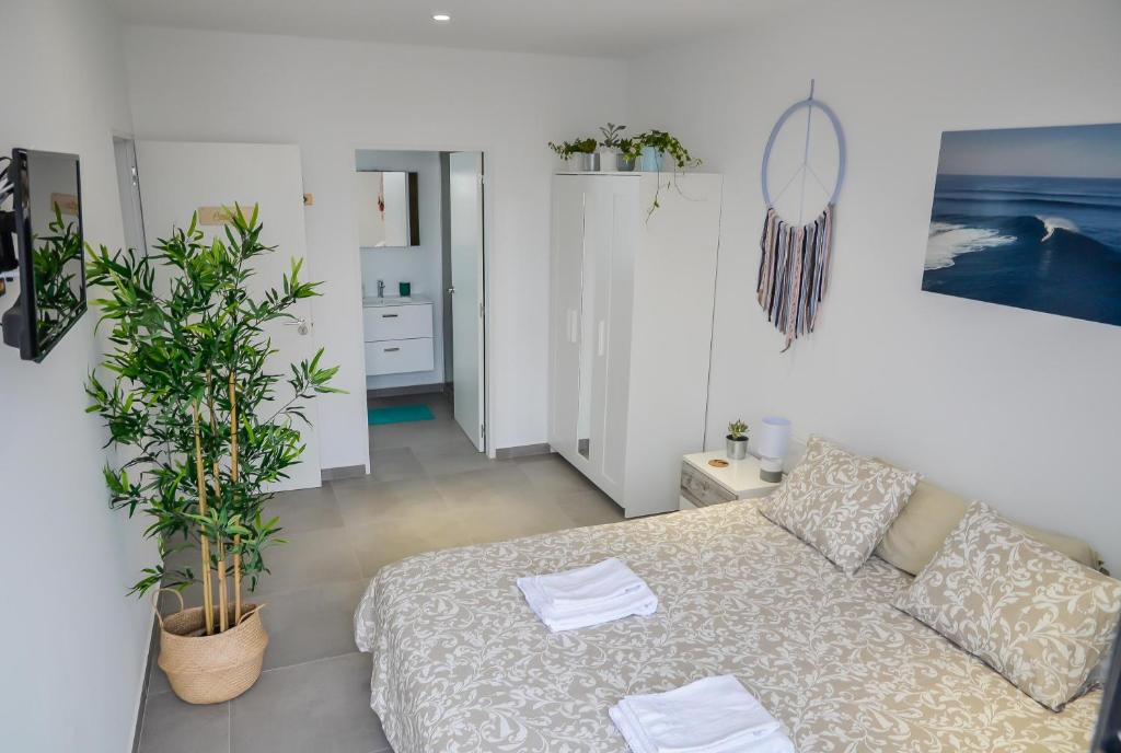 MAAR House Lajares - 4