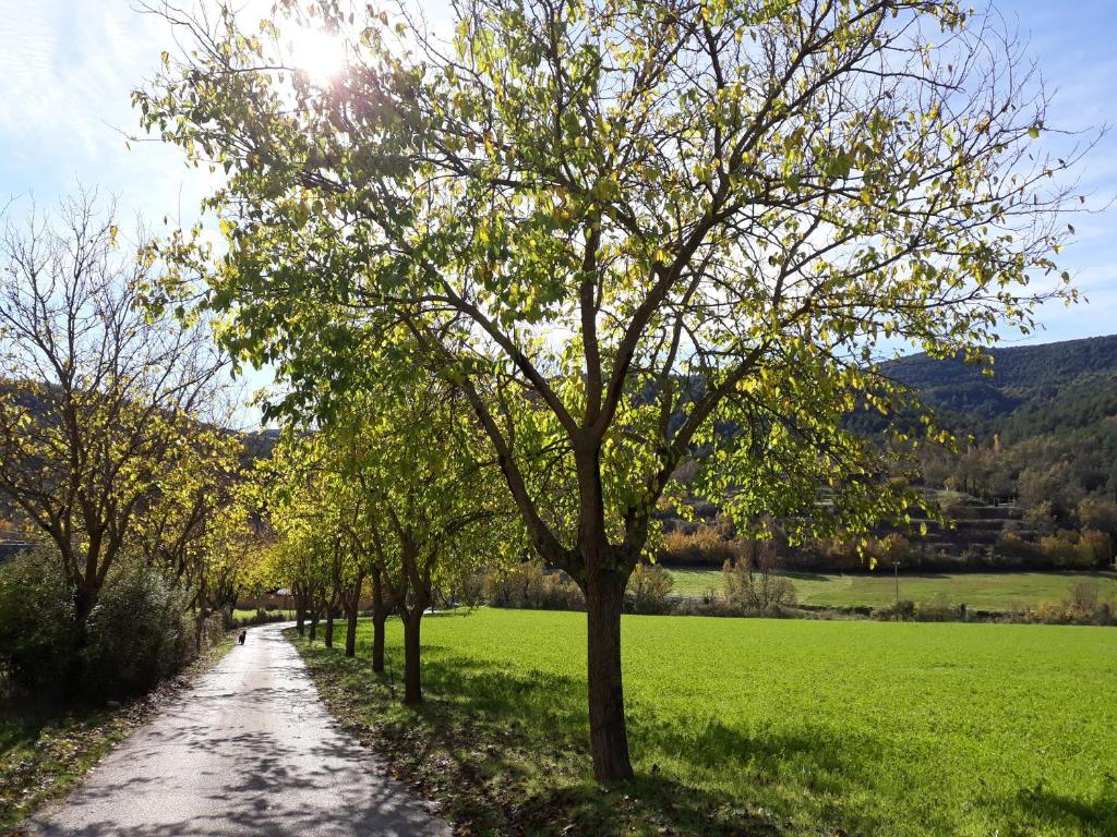 Paisaje cerca of this country house