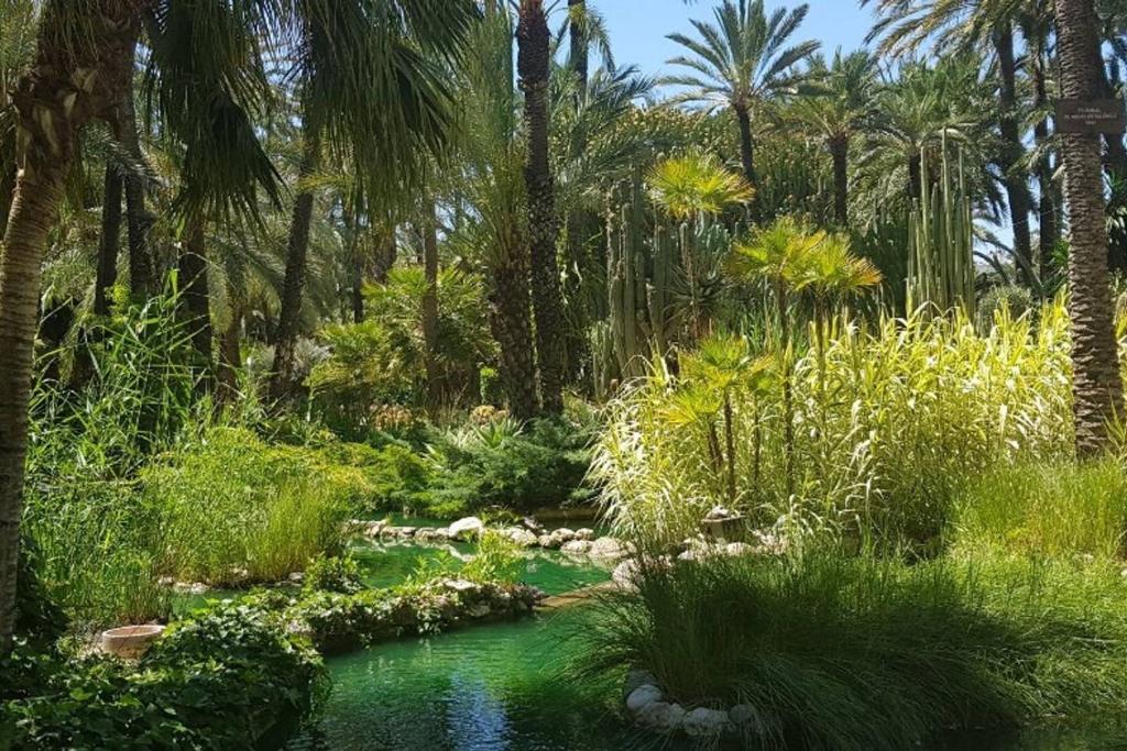 RS Jardin del Pintor VDE 066, Jacarilla – Updated 2022 Prices