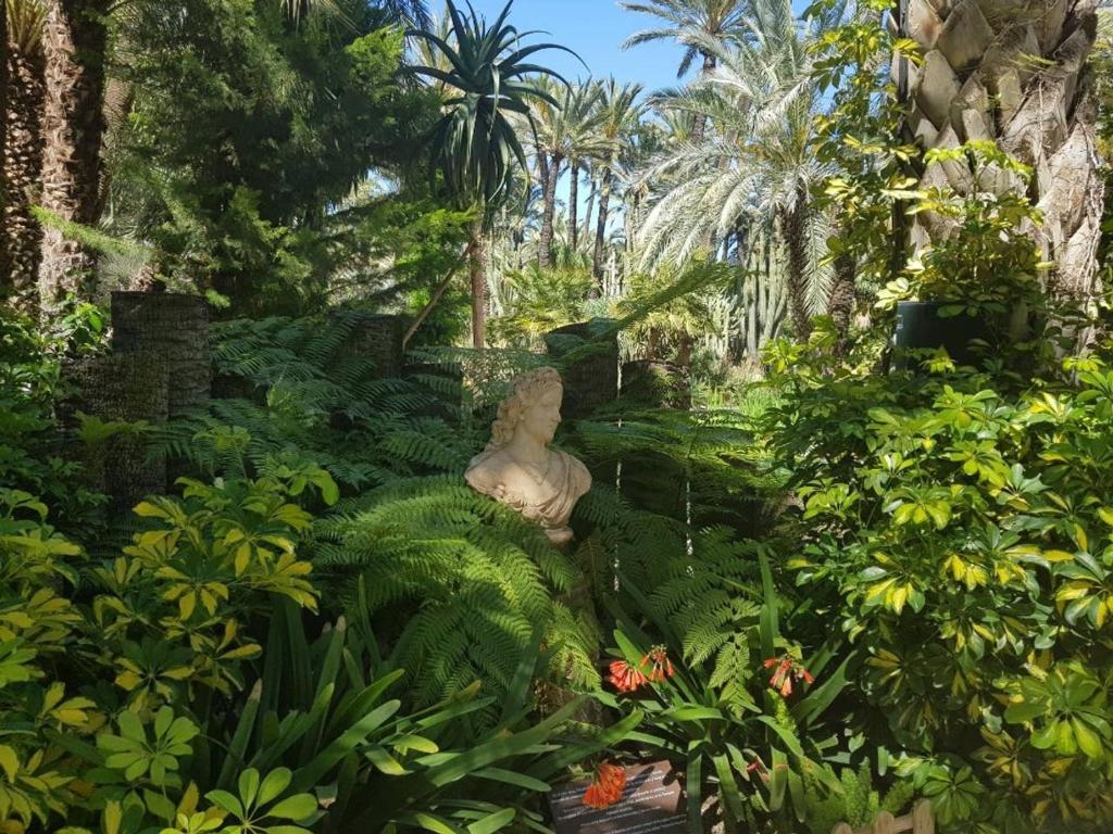 Vonkajšia záhrada v ubytovaní Residential jardín del pintor - la casa amarilla