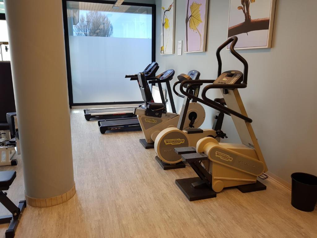 Fitness centrum a/nebo fitness zařízení v ubytování Hotel Ristorante I Castelli