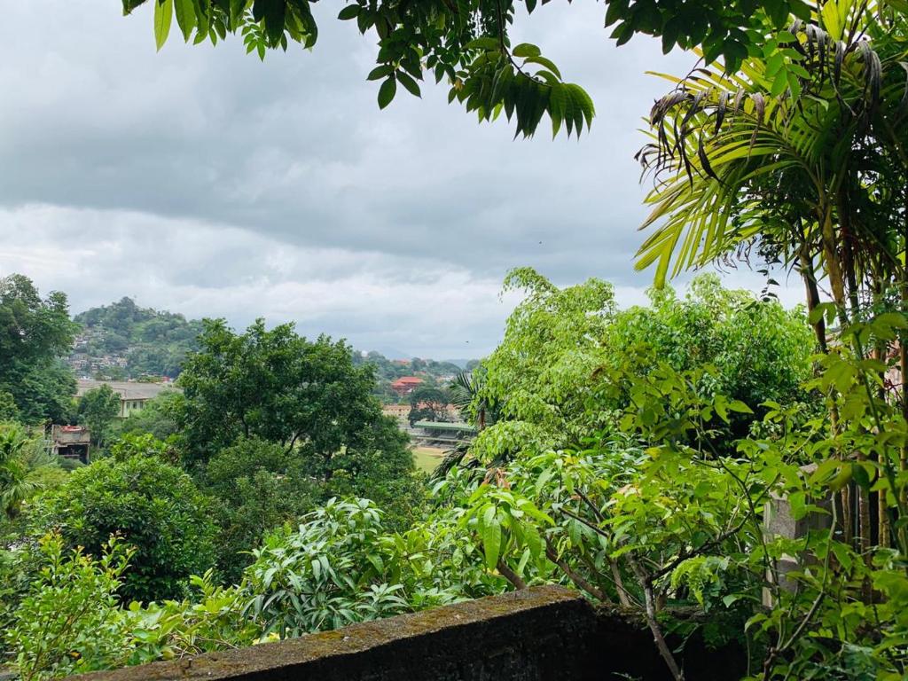 Jaga's Hill homestay - 8