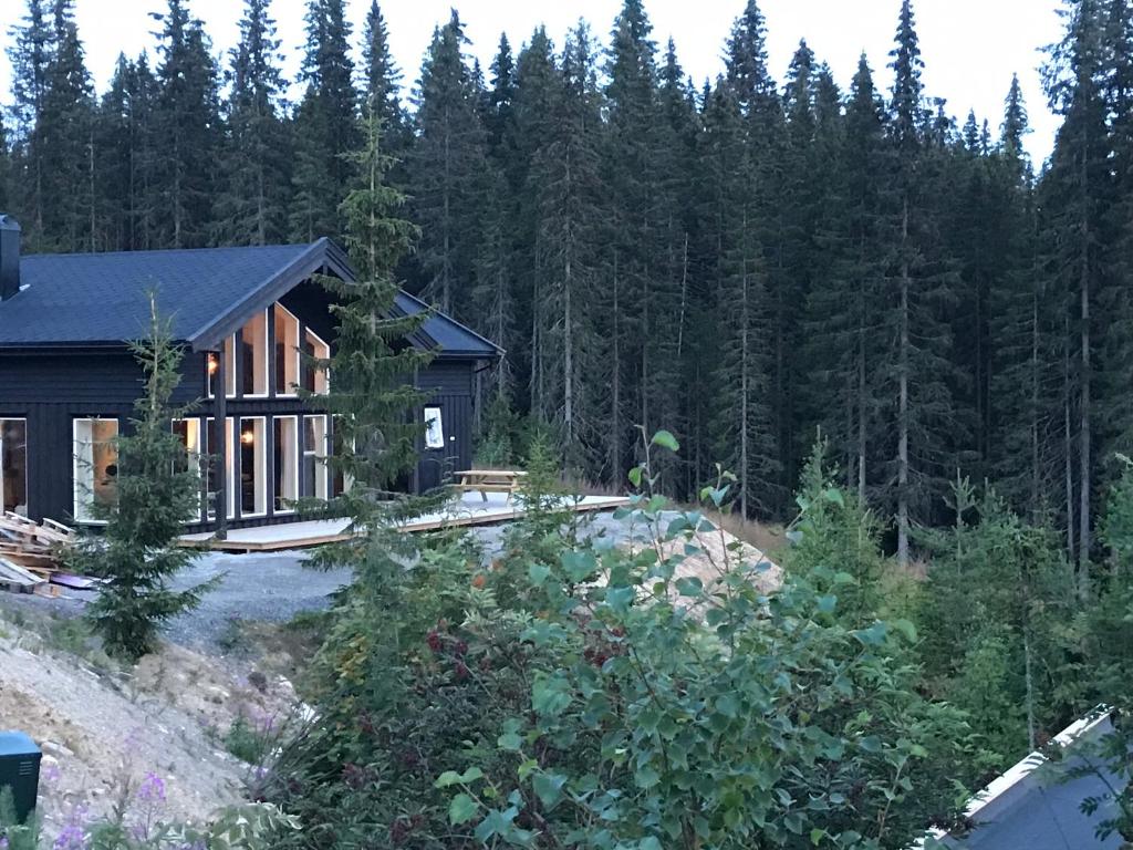 a house in the middle of a forest at Lillebjørn in Trysil