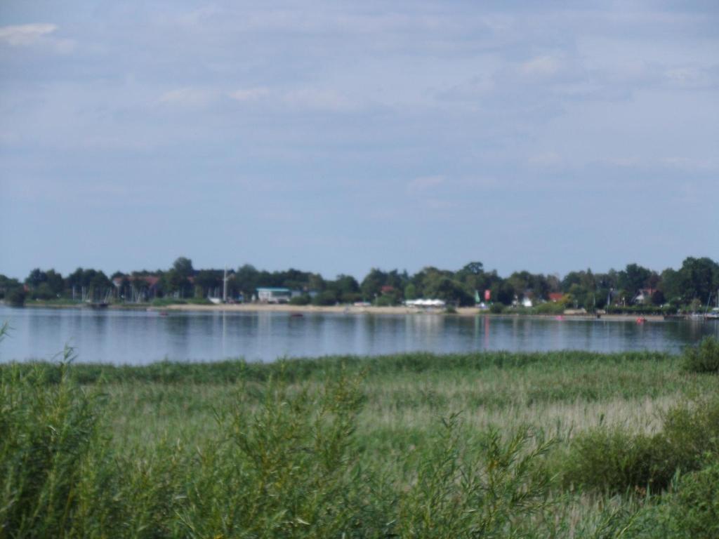 een grote hoeveelheid water met een grasveld bij Ferienwohnung Fritzke in Lemförde