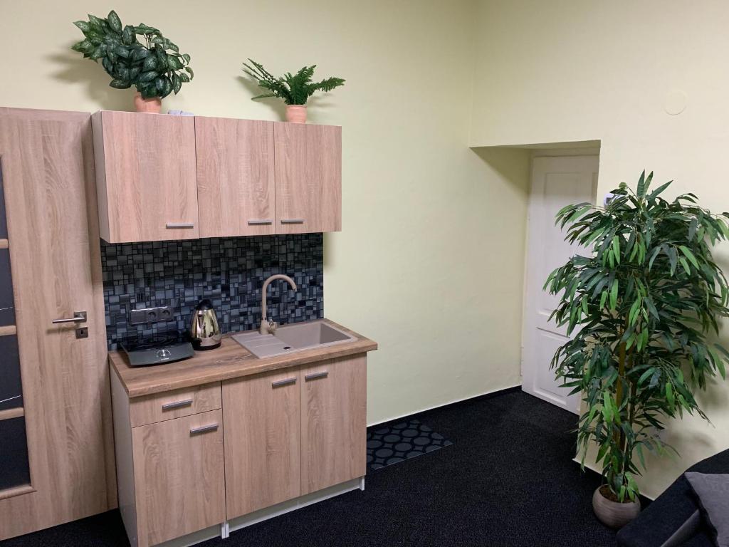 Kuchyň nebo kuchyňský kout v ubytování Apartmán Alesta Bruntál