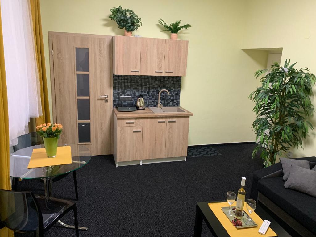Kuchyň nebo kuchyňský kout v ubytování Apartmán Alesta Bruntál