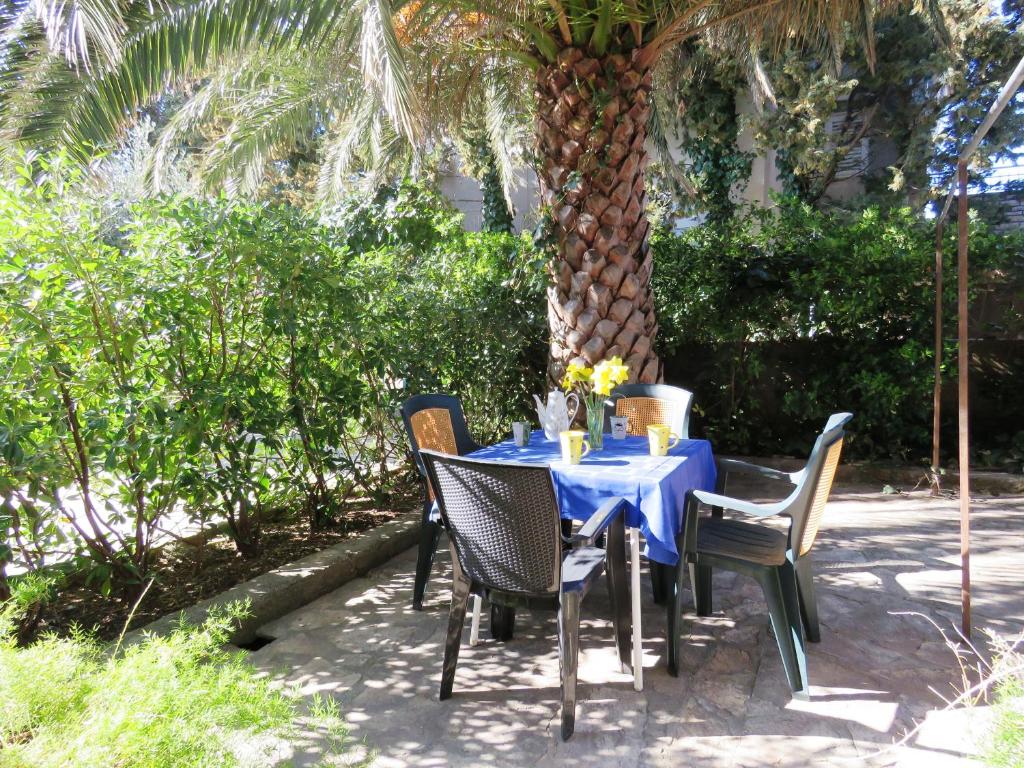 Zahrada ubytování Apartments Palma Novalja
