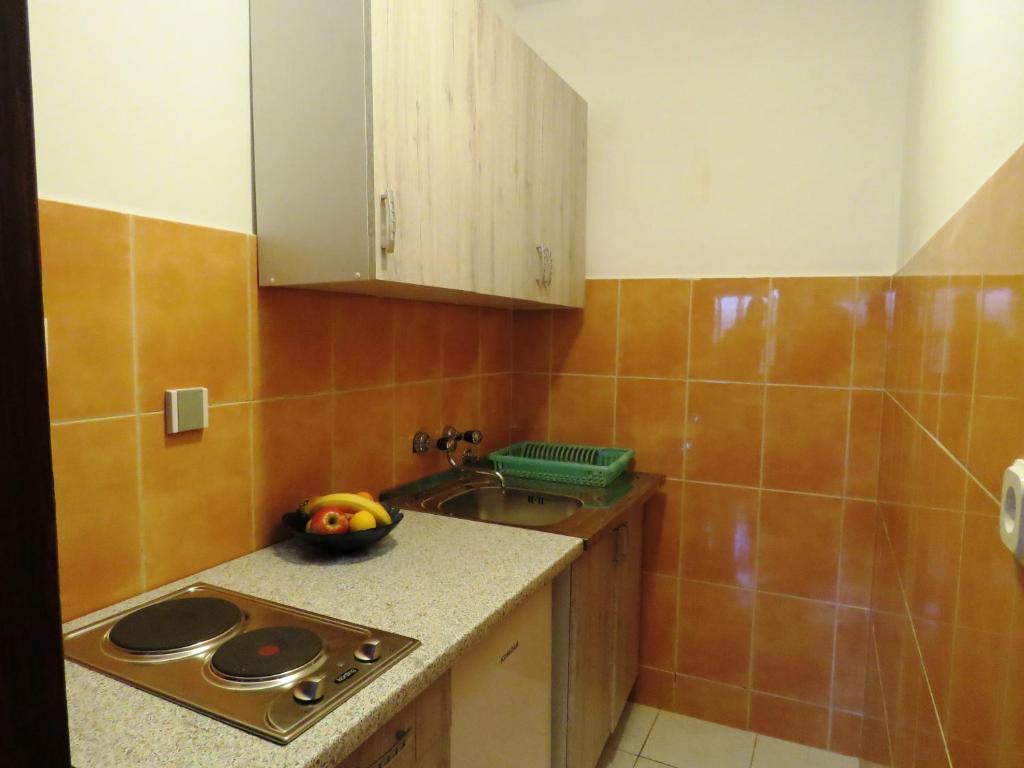 Kuchyň nebo kuchyňský kout v ubytování Apartments Palma Novalja