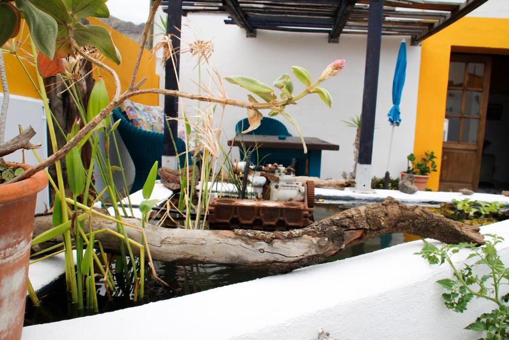 Fotografie z fotogalerie ubytování Pura Vida Casa del Mar v destinaci Breña Baja
