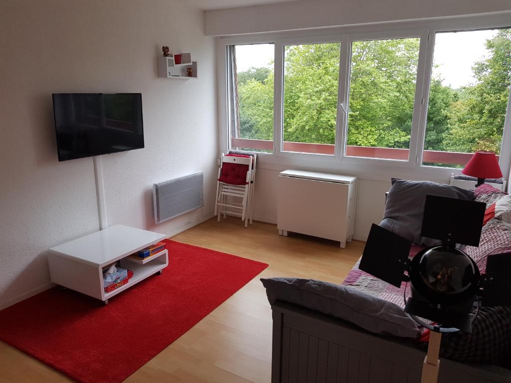 a living room with a couch and a flat screen tv at Chaleureux T2 à Villers-sur-Mer in Villers-sur-Mer