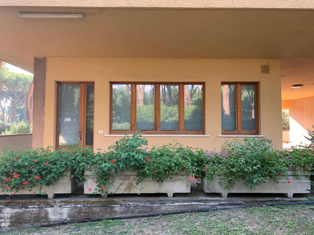 a house with potted plants on the side of it at Appartamenti Pian d'Alma in Punta Ala