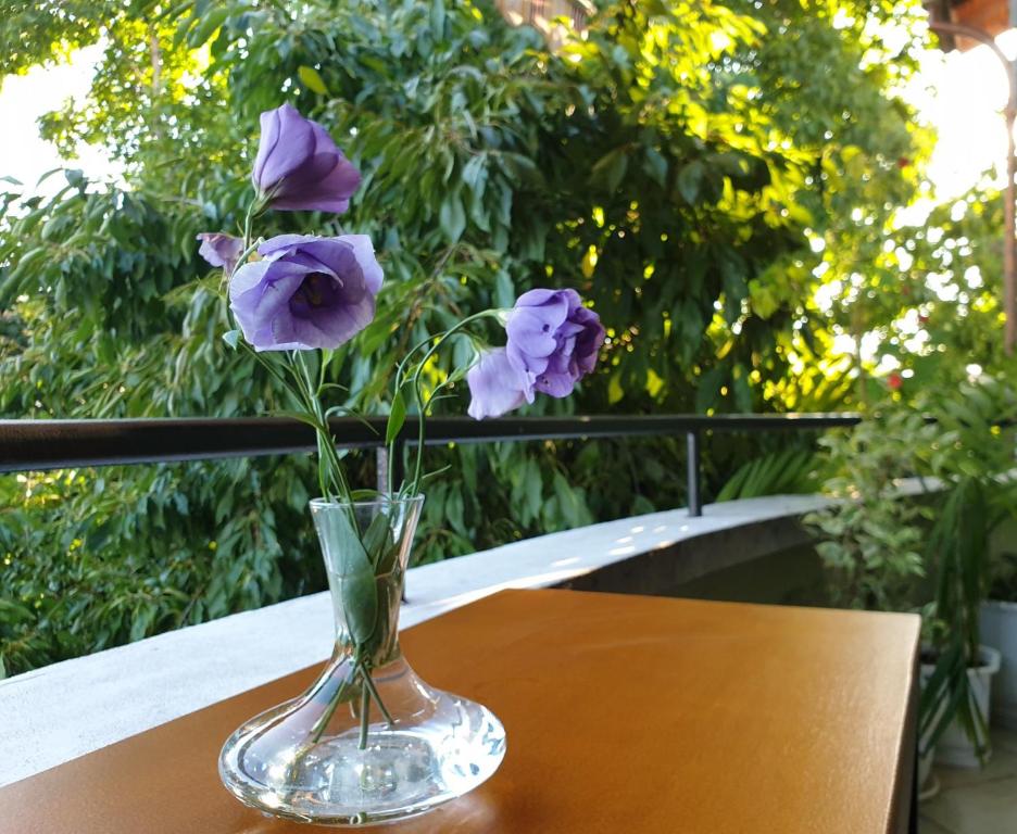 Zahrada ubytování Family Hotel Sonata