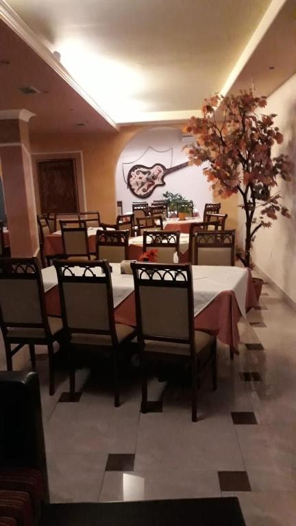 Posezení v ubytování Drini Hotel