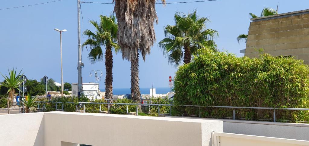 a view of palm trees and the ocean from a building at Torre dell'Orso centro - villino vista mare con ampio giardino in Torre dell'Orso