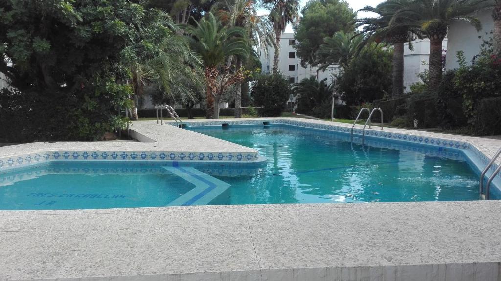 a swimming pool with blue water and palm trees at Apartamento con vistas al puerto deportivo Las Fuentes in Alcossebre