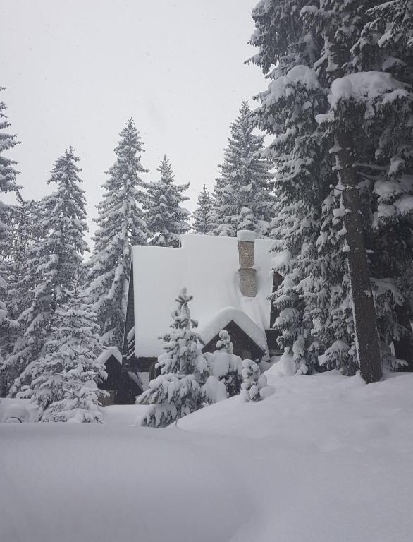 a snow covered forest with trees and a building at Vikendica PAM in Vlasic