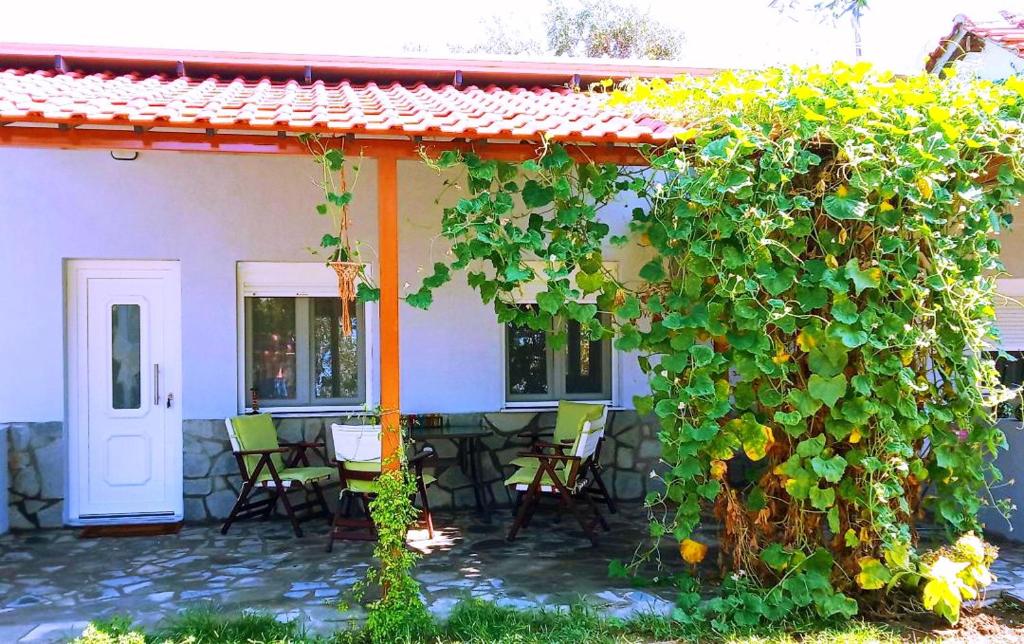 a house with a bunch of ivy growing on it at Cristi Apartments in Skala Rachoniou