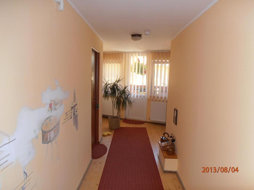 a hallway with a red rug on a wall at Casa Doma'r - Alina in Sibiu