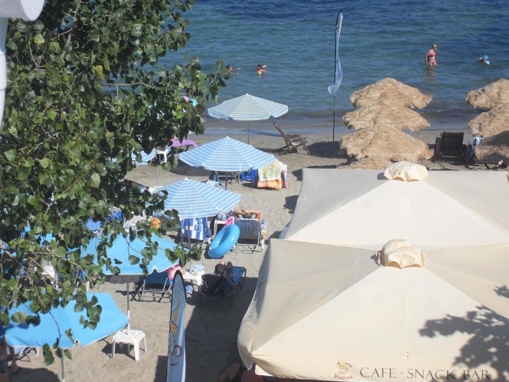 Příroda nedaleko apartmánu
