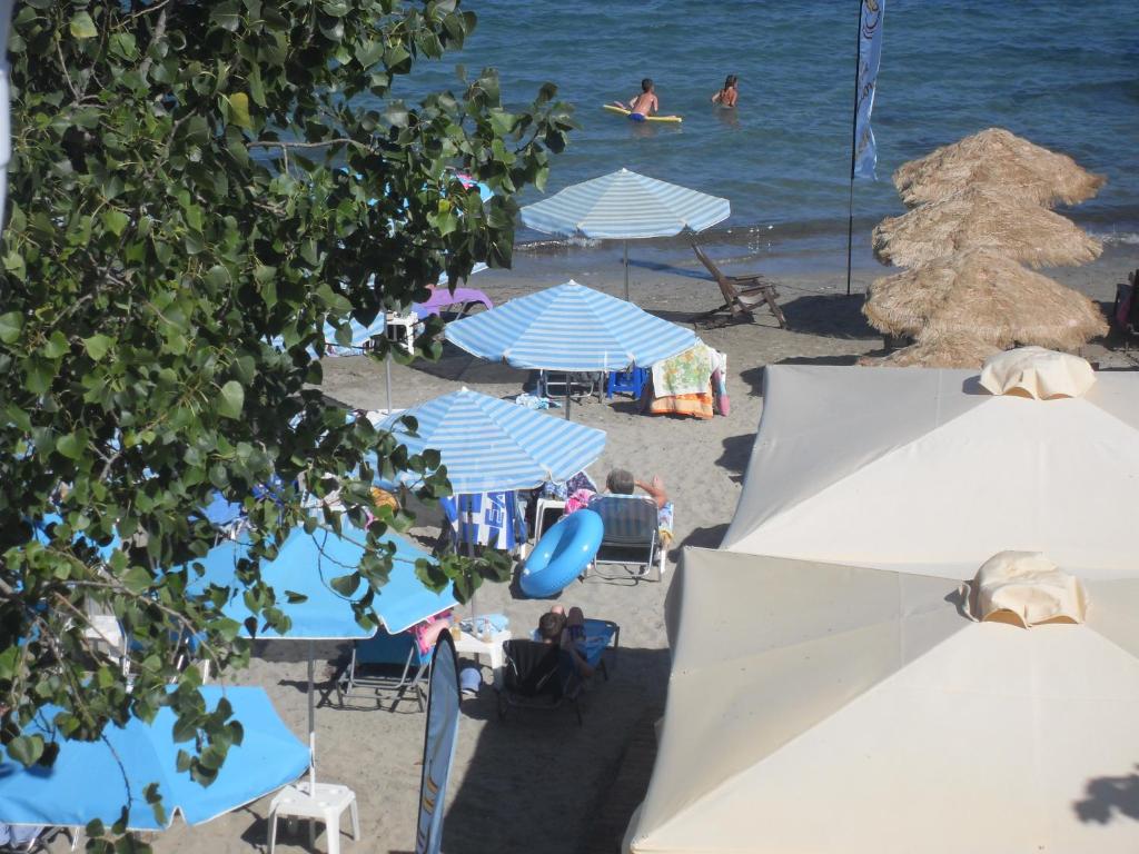 Příroda nedaleko apartmánu