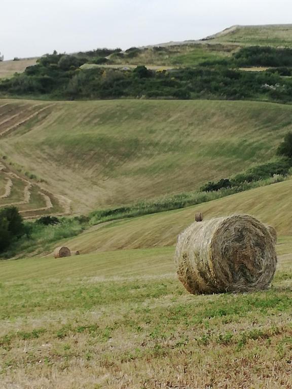 Przyroda w pobliżu tego gospodarstwa agroturystycznego