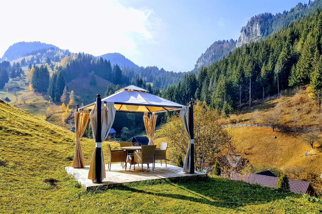 Fotografie z fotogalerie ubytování Carpatica Lodge v destinaci Moieciu de Sus