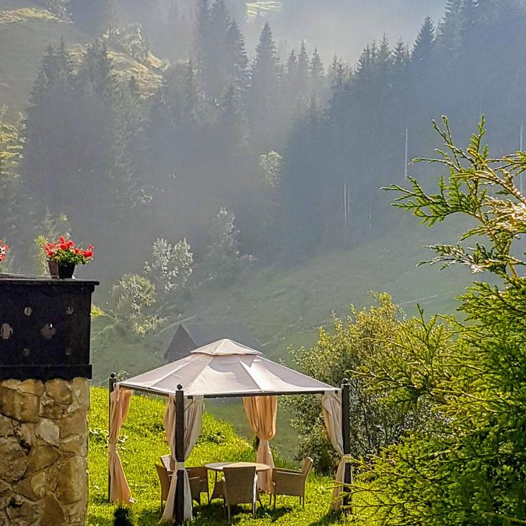 Fotografie z fotogalerie ubytování Carpatica Lodge v destinaci Moieciu de Sus