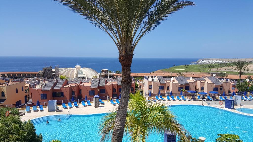 a view of the pool at a resort with a palm tree at Best Views Meloneras Deluxe 113 in San Bartolomé de Tirajana