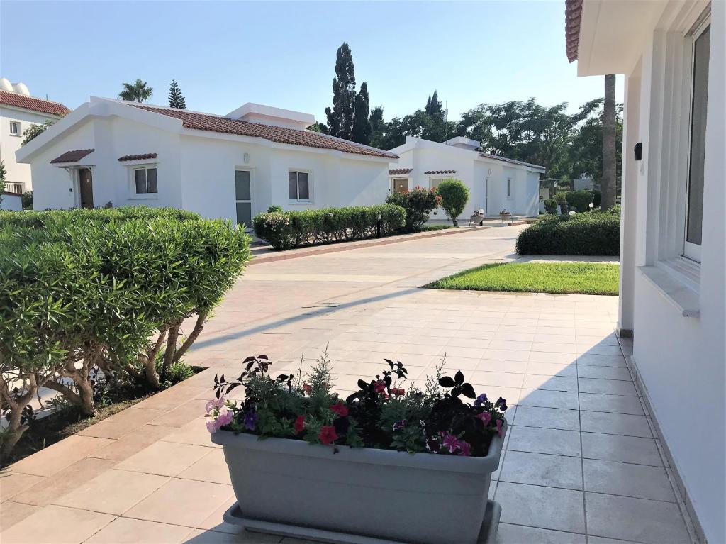 Zahrada ubytování Fig Tree Z Holiday Resort
