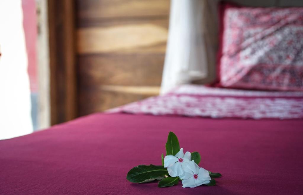 Harry's Ocean House Pacitan - 19