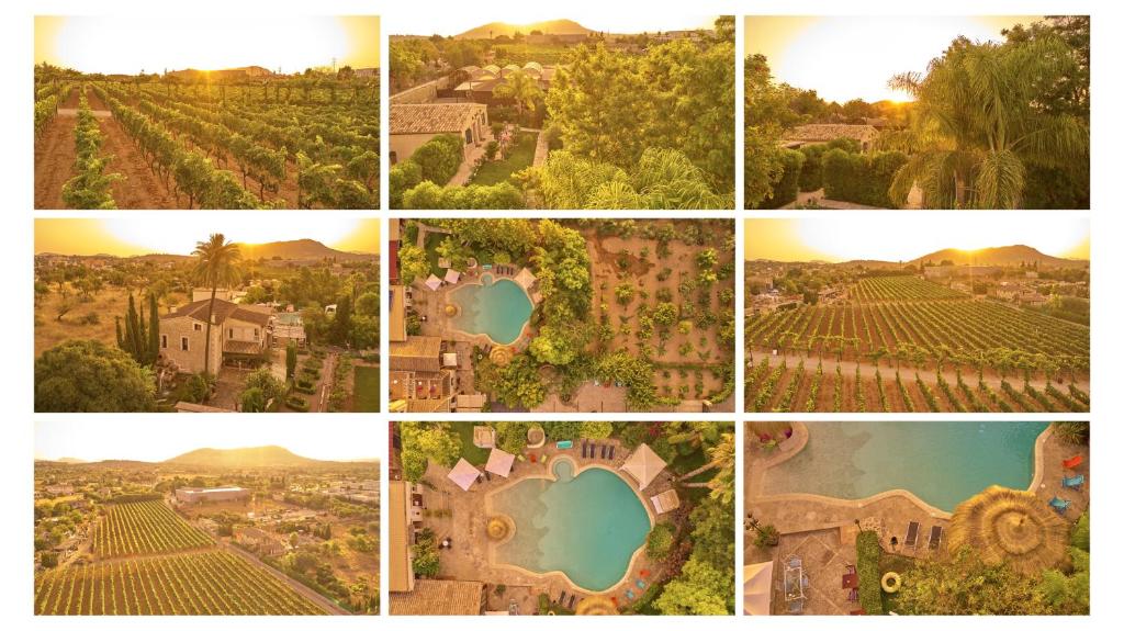 uma colagem de fotos de uma aldeia e uma vinha em Sa Vinya des Convent - Hotel Bodega em Inca