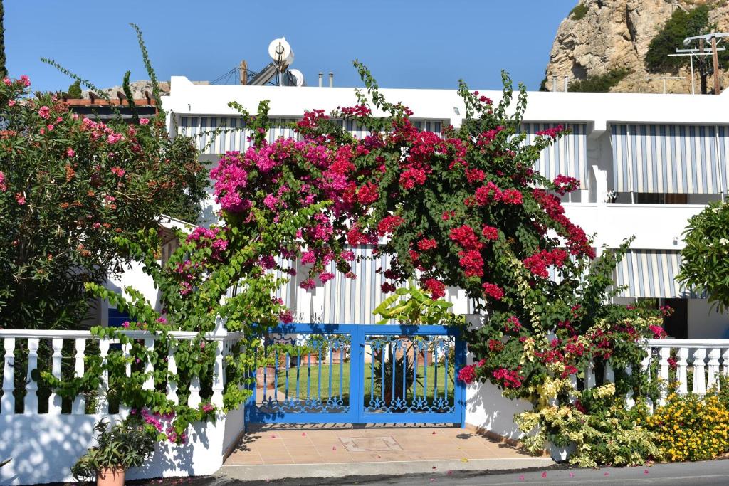 Ogród w obiekcie Antonios Apartments Stegna
