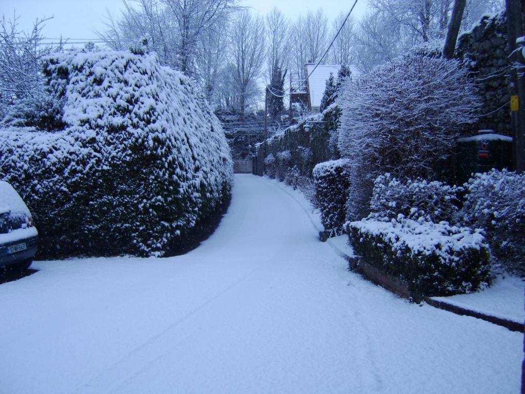 a driveway covered in snow with bushes and trees at The Gardens guest accommodation in Killarney