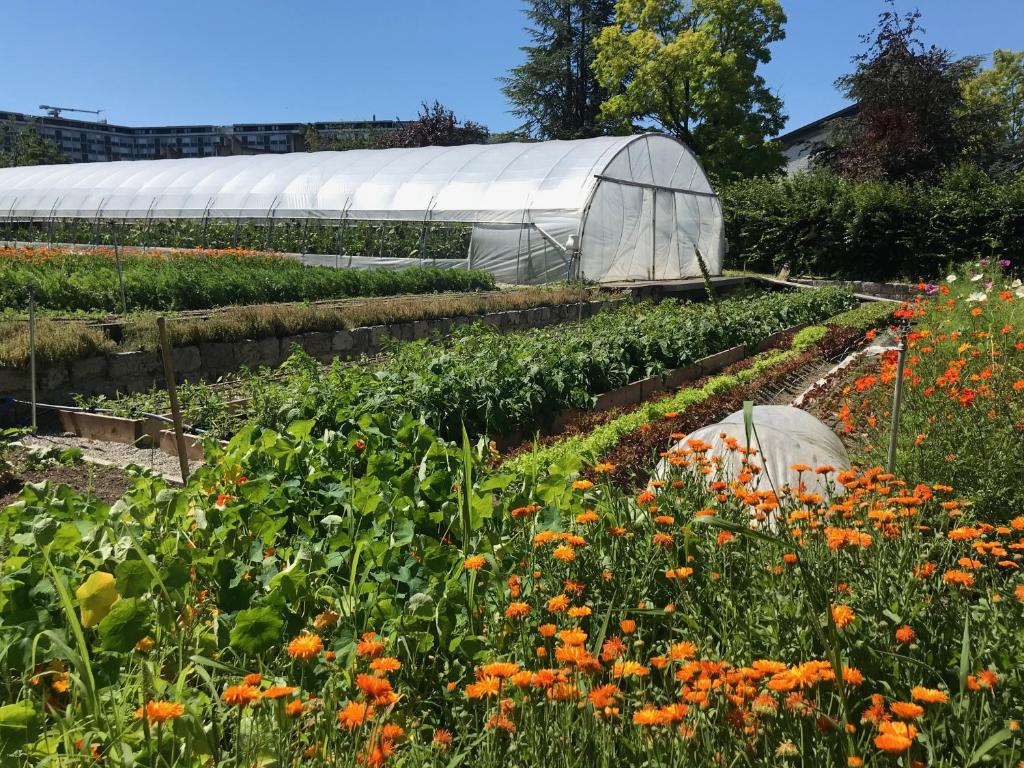 Zahrada ubytování La Ferme du Lignon