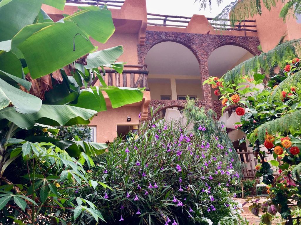 a garden with lots of plants and flowers at Ker Lep Jamm - Chez Moussa et Cinzia in Toubab Dialaw