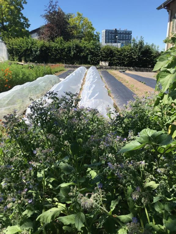 La Ferme du Lignon - Resim 37