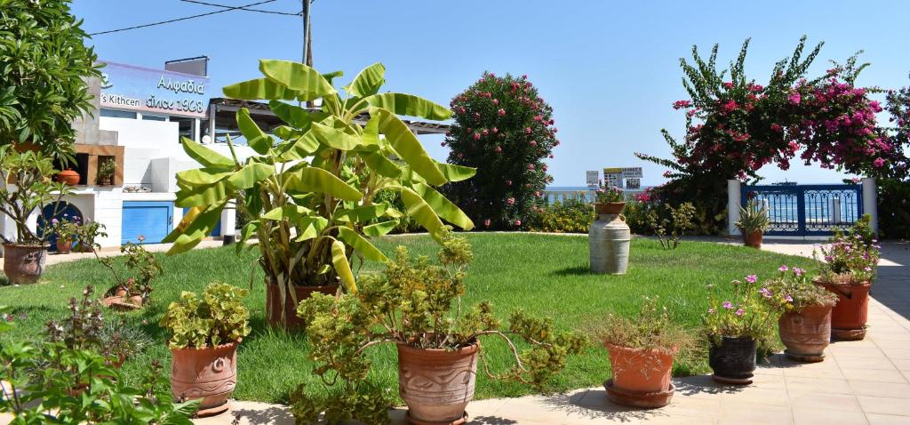 Ogród w obiekcie Antonios Apartments Stegna