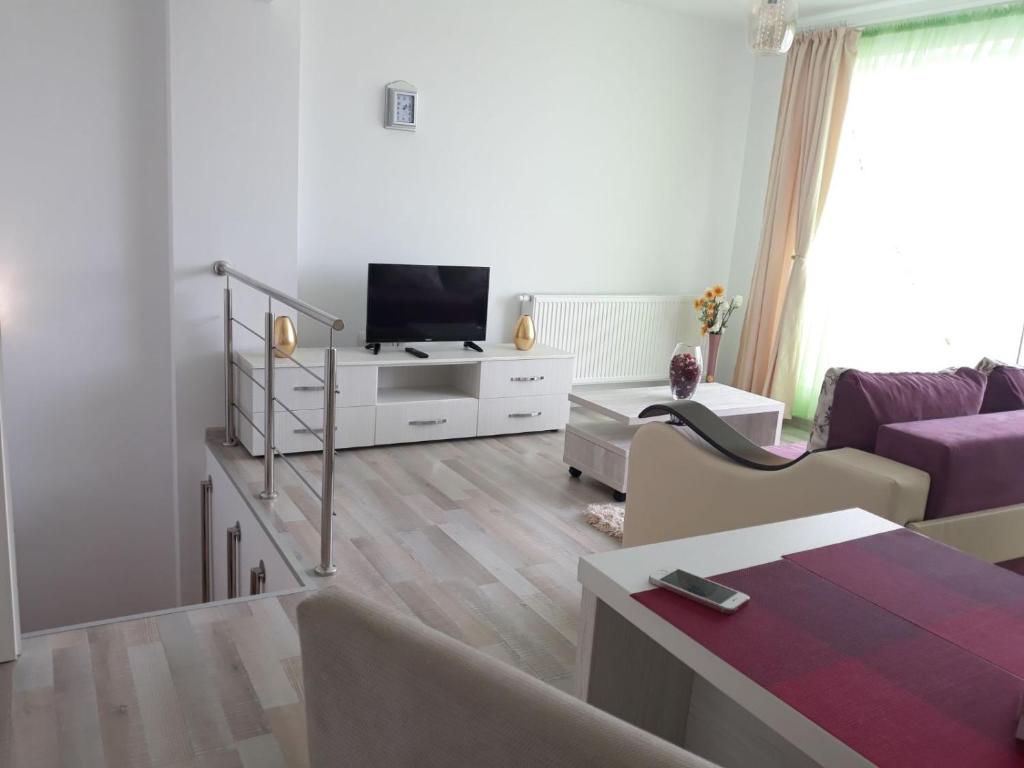een woonkamer met een bank en een tv bij Apartament Coresi in Braşov