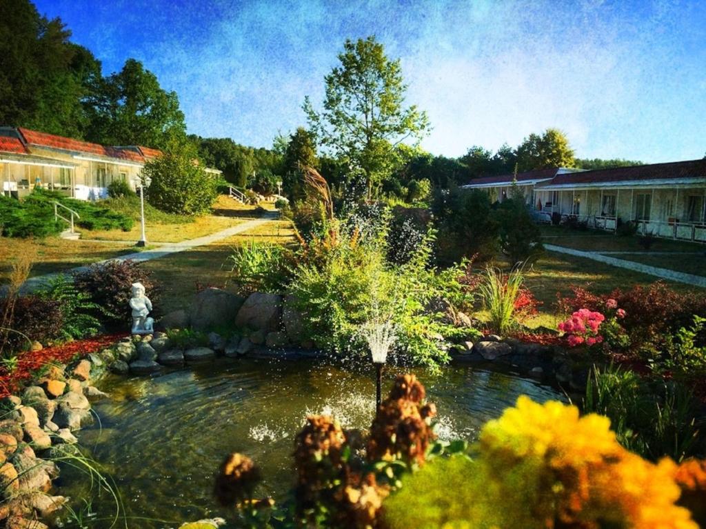 - un jardin avec un étang dans la cour dans l'établissement Ferienpark-Canow, à Canow