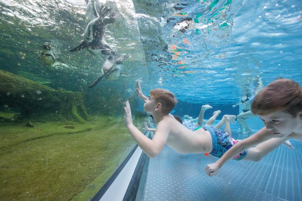 dos jóvenes jugando en un acuario con peces en Spreewelten Hotel, en Lübbenau