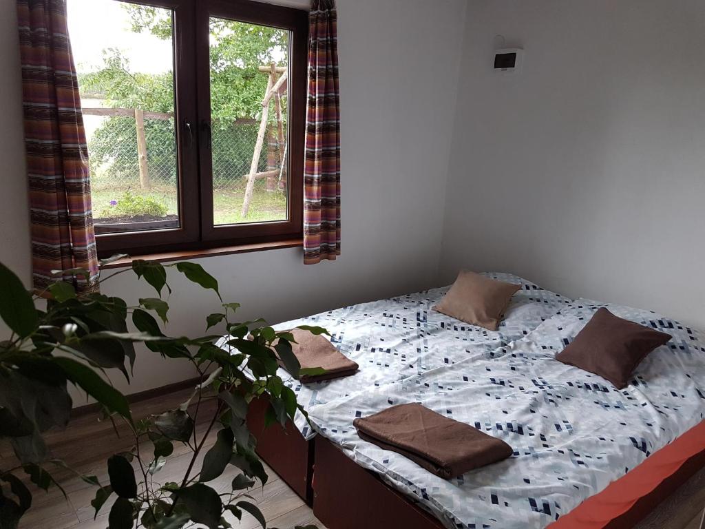 een slaapkamer met een bed met kussens en een plant bij Chatki u Patki in Łebieniec